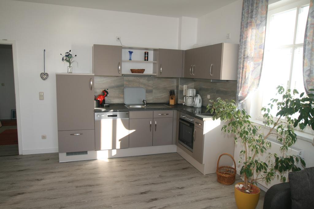 Apartment Feodora ザスニッツ エクステリア 写真